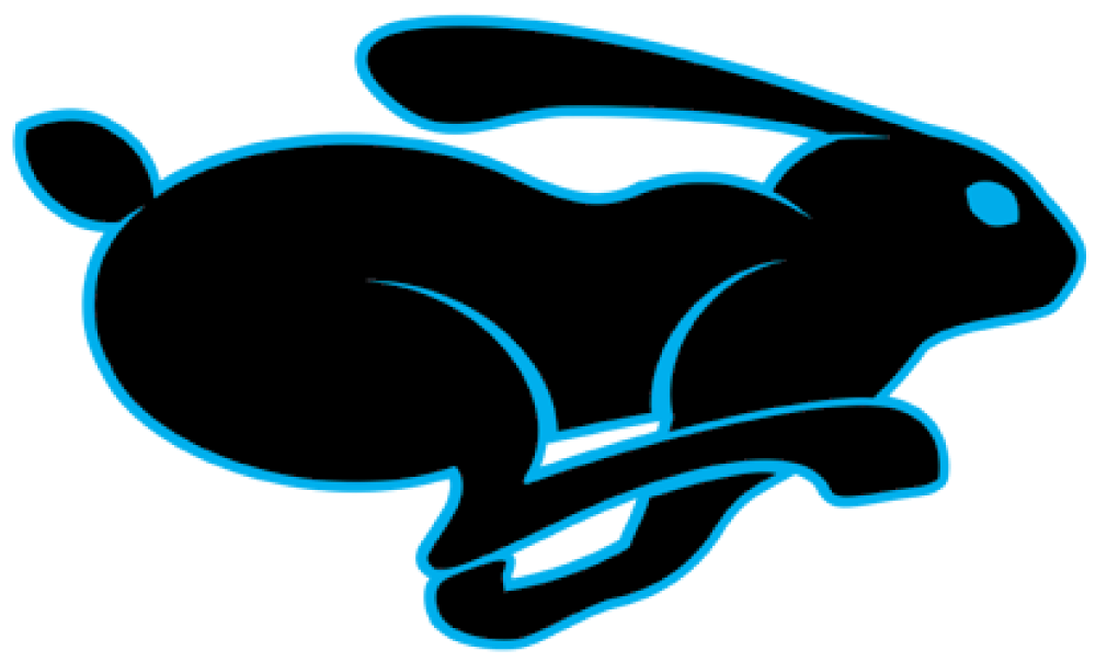 Rapid Drain Lining Rabbit from logo